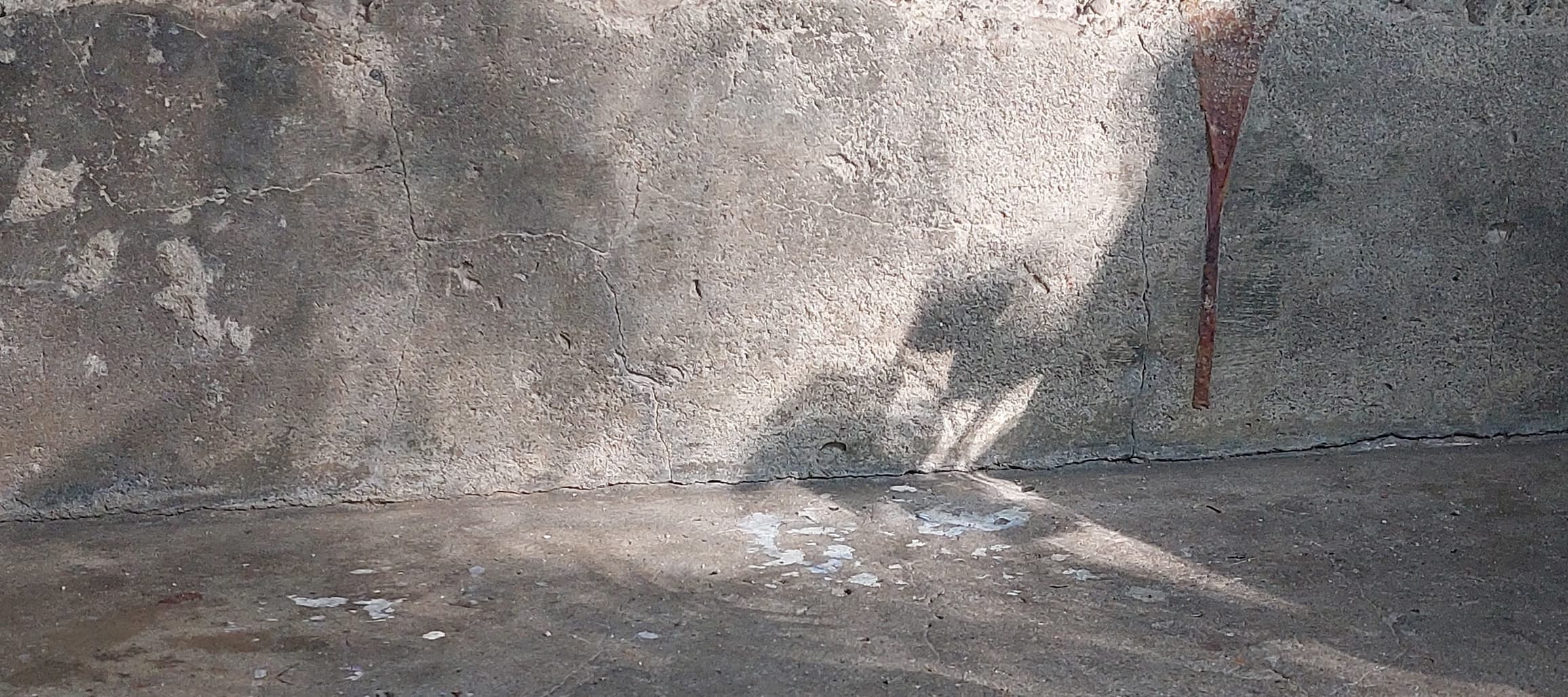 Shadows of plants cast onto concrete stairs with their own patina, to prime the feeling of something something Plato's cave